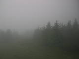09 : 42