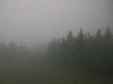 09 : 44