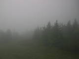 09 : 50