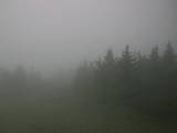 10 : 24
