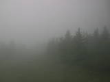13 : 08