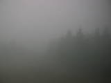 09 : 44
