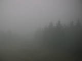 09 : 46