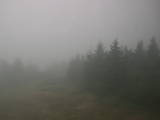 13 : 48
