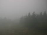 13 : 56
