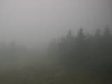 14 : 12