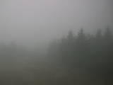 14 : 44