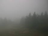 14 : 48