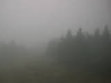 14 : 52