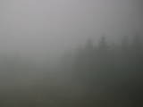 15 : 20