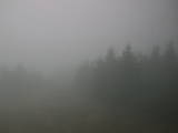 15 : 28