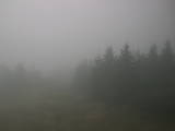 15 : 32
