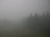 15 : 36