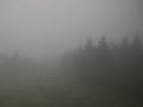15 : 44