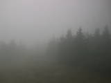 15 : 56