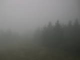 16 : 12