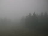 16 : 16