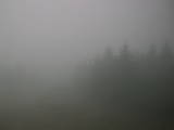 16 : 20