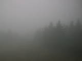 16 : 28