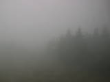 16 : 32