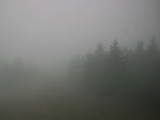 16 : 36