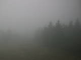 16 : 44