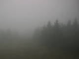 16 : 48