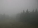 16 : 52