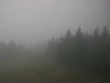 16 : 56