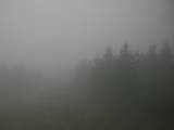 17 : 16