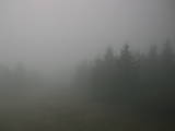 17 : 20