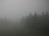 17 : 24