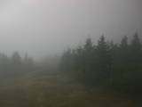 17 : 32
