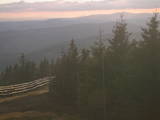 19 : 20