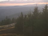 19 : 22