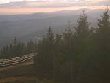 19 : 24