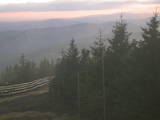 19 : 36