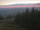 19 : 46