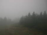 09 : 48