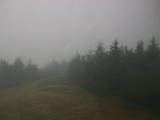 09 : 44