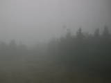 12 : 24