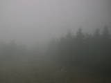 13 : 16