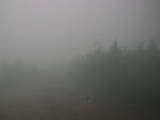 13 : 24