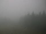 13 : 28