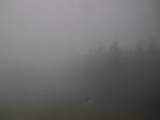 13 : 36