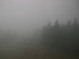 13 : 44