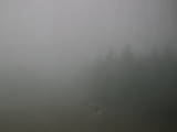 14 : 00