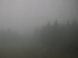 14 : 04