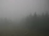 14 : 12