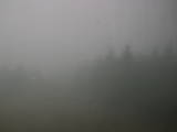 14 : 16